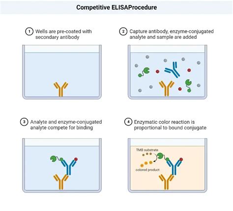 elisa test definition|is the elisa test accurate.